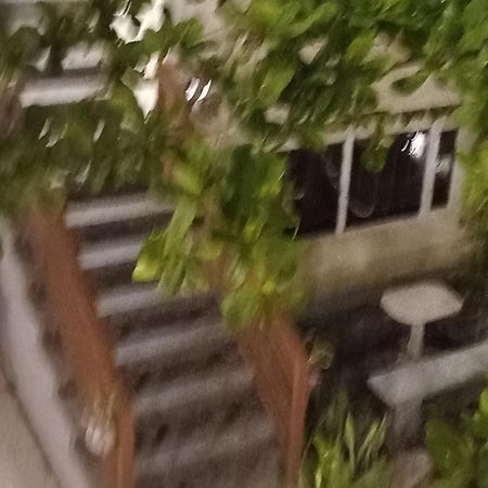 Beachfront Bed & Breakfast San Jose  Bagian luar foto